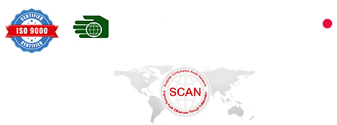custome logo