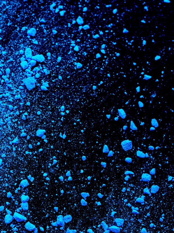 Professional Version